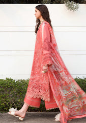 Lawn - Esmel - Belle Saison 26 - EUNSS#209 - Coralie