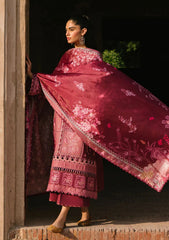 Winter Collection - Bin Ilyas - Gulabi Baagh - BI24GB 153-B