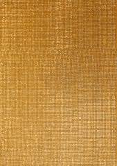 Shamoz Silk With Stone Work - ASPL#44