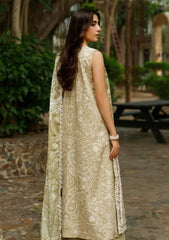 Winter - Asifa & Nabeel - Meraki - Unstitched 25 - Frozen Dew