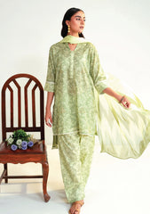 Lawn - Humdum - Rang e Bahar - HRB25#09