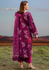 Winter - Parishay - Rang e Sarma - Khaddar 25 - SAR#09