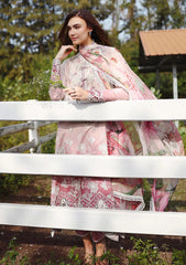 Lawn - Mushq - Solace 26 - Ombre Chikankari - MUNSS#209 - Dew Drift