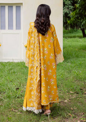 Winter - Mahnur - Gardenia - Khaddar 25 - GR#08