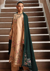 Winter - Rajbari - Winter Shawl - Exclusive 25 - D#07