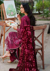 Winter - Parishay - Panache - Palachi Shawl 25 - PNE#09