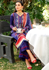 Winter Collection - Bin Ilyas - Maya Jahan - D#763 B