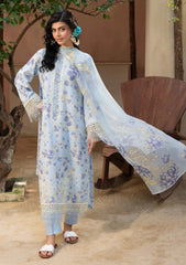 Winter - Humdum - Zaiba - Karandi 25 - D#02