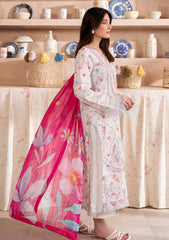 Lawn - Humdum - Kanwal 26 - D#03