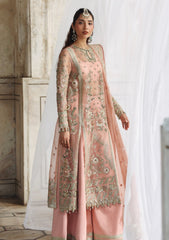 Formals - Akbar Aslam - Rang Mehal - Festive 25 - D#1608 - Naazi