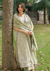 Winter - Asifa & Nabeel - Meraki - Unstitched 25 - Frozen Dew