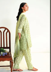 Lawn - Humdum - Rang e Bahar - HRB25#09