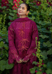 Lawn - Rang Rasiya - Luxury Eid 26 - RLE#05 - AYRA