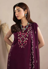 Winter - Humdum - Mushak - Embroidered Karandi 26 - D#10