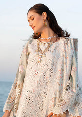Lawn - AJR Couture - Evara Luxury 26 - AJR-E#10 - FYNA