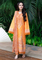 Lawn - Asim Jofa - Essential 25 - Vol-05 - AJUUB-29