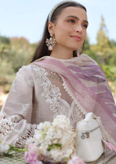 Lawn - Noor by Saadia Asad - Luxe Chikankari - NL25#04 A