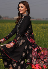 Lawn Collection - Charizma - Signatur Print - Vol 1 - SP4 - 01