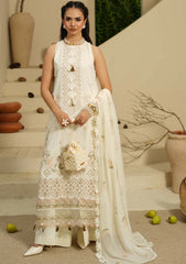 Winter - Humdum - Mushak - Embroidered Karandi - H25#02