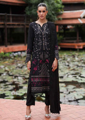 Winter - Riaz Arts - Tehzeeb 25 - Leather Peach - TL#458