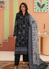 Winter - Rajis Clothing - Aday-e-Hasan - Linen Viscose Edition 26 - RJ#10