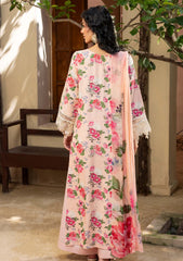 Winter - Humdum - Zaiba - Karandi 25 - D#01