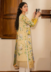 Lawn - Asifa & Nabeel - Meraki Vintage 25 - Nimbu Pani (MVL25-04)