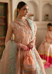 Formals - Parishay - Ranibagh - Luxury 25 - ROSHANARA