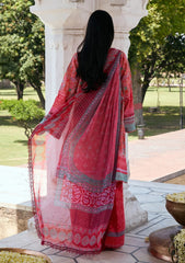 Lawn - Kahf Premium - Aangan Chiffon Prints 26 - KPS#03A - TABEER