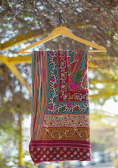 Digital Printed Wool Shawl D - 04 - Multi