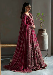 Formals - Akbar Aslam - Meeras - Luxury Chiffon 25 - D#1609 - Mahroze