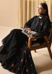 Winter Collection - Rajbari - Nissa - RBN24#10