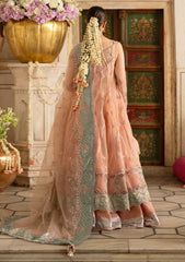 Formals - Parishay - Ranibagh - Luxury 25 - ROSHANARA