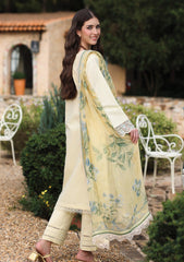 Lawn - Ayleen - Luxe Blossom - Summer 26 - ZAAVIA