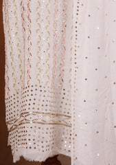 Formals - Bahawalpur Pehnawa - Georgette Chiffon - 2 Piece - D#20