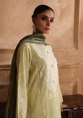 Lawn Collection - Hada - Festive 24 - HF#04 - Jazmin