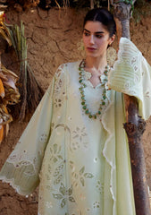 Lawn - Zaha - Meili Festive 26 - ZL#14B - TÁO RÓU