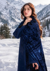 Winter - Rang Rasiya - Carnation Unstitched 26 - RR#12 - Nox