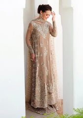Formals - Mushq - Bachelorette Chronicles Chiffon 26 - D#106 - Pretty Rebel