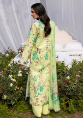 Lawn - Rajbari - Summer Printkari 26 - D#01