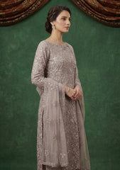 Formals - Riwaj - Fancy Net - 2 Pcs Suit - CND#1208 - Grey