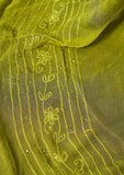 Winter Collection - Riwaj - Bamber Chikankari W/ Mukesh Work - Mehendi