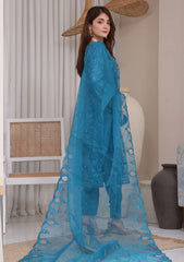 Formal Collection - Dressline - Haleema - Fatima Bano - DH24#163 A