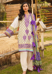 Lawn Collection - Asifa & Nabeel - Meraki - M#17 - ALYSSA