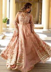Formals - Mushq - Darlings - Wedding 25 - MWD#105 - NAINA