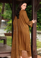 Winter - Riaz Arts - Tehzeeb 25 - Leather Peach - TL#449