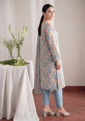 Formals - Rubaaiyat - Shamoz Silk 26 - RSS#02 - Grey