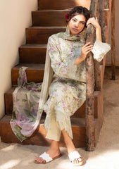 Winter - Humdum - Zaiba - Karandi 25 - D#08