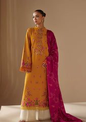 Winter Collection - Rajbari - Nissa - RBN24#12