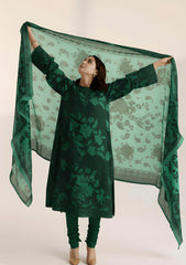 Winter - Riwaj - Printed Velvet Suit - Palachi Dupatta - D#01 - Green